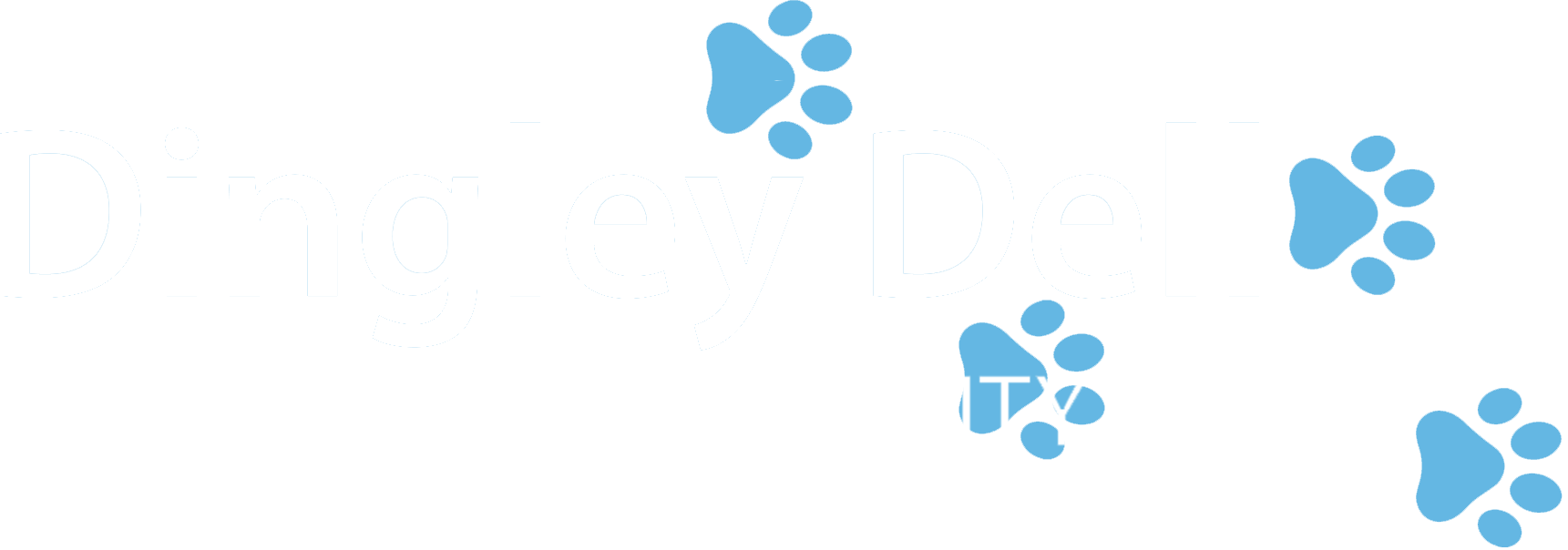 Dingley Dell Dog Training and Agility Club